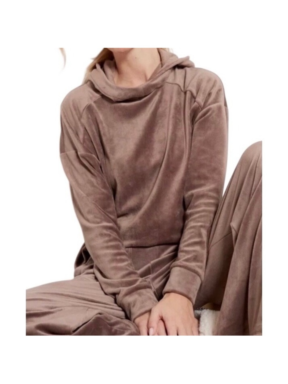 Evereve Coco Velour Hoodie In Mink Brown‎ Size Medium